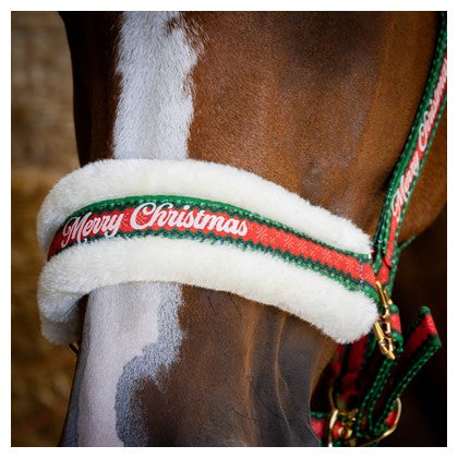 Julegrimesett med leietau og ørehette