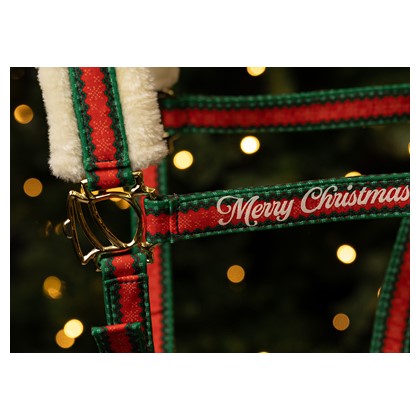 Julegrimesett med leietau og ørehette