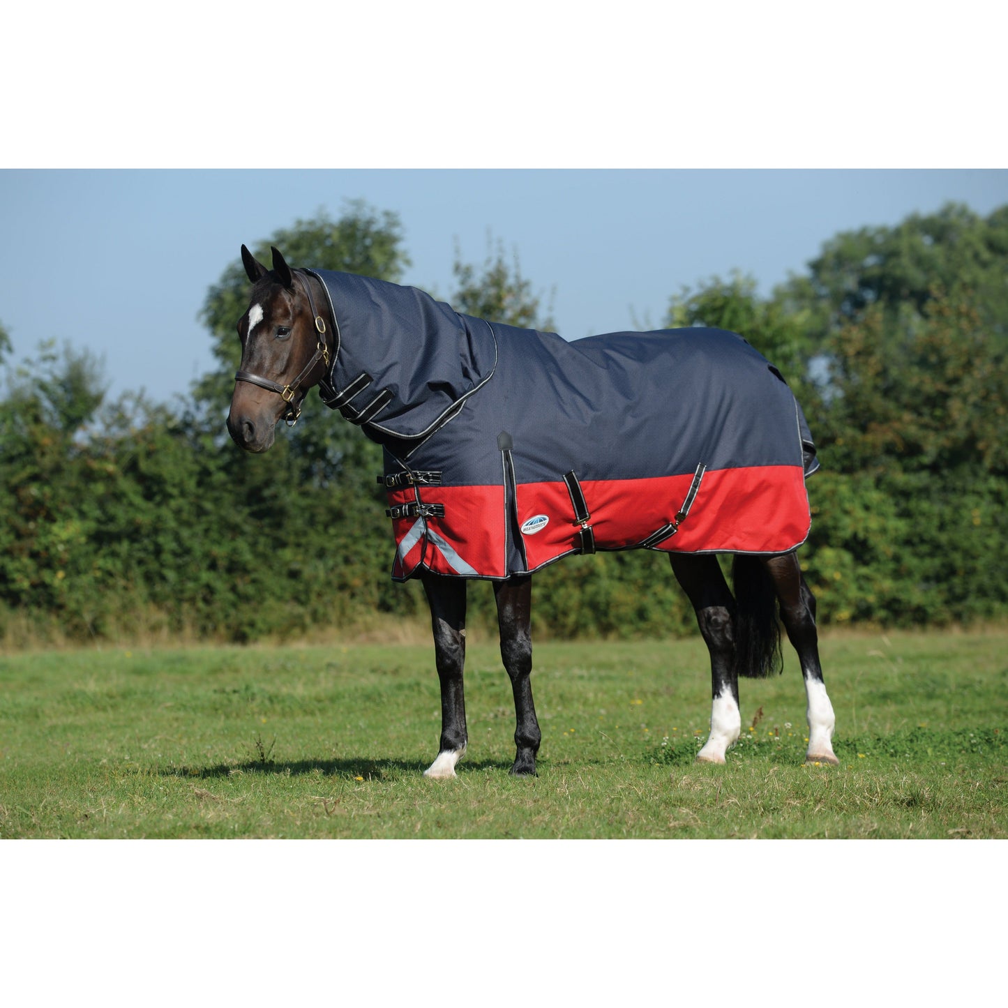 Comfitec Plus Dynamic II Detach-a-Neck Medium 220 gram