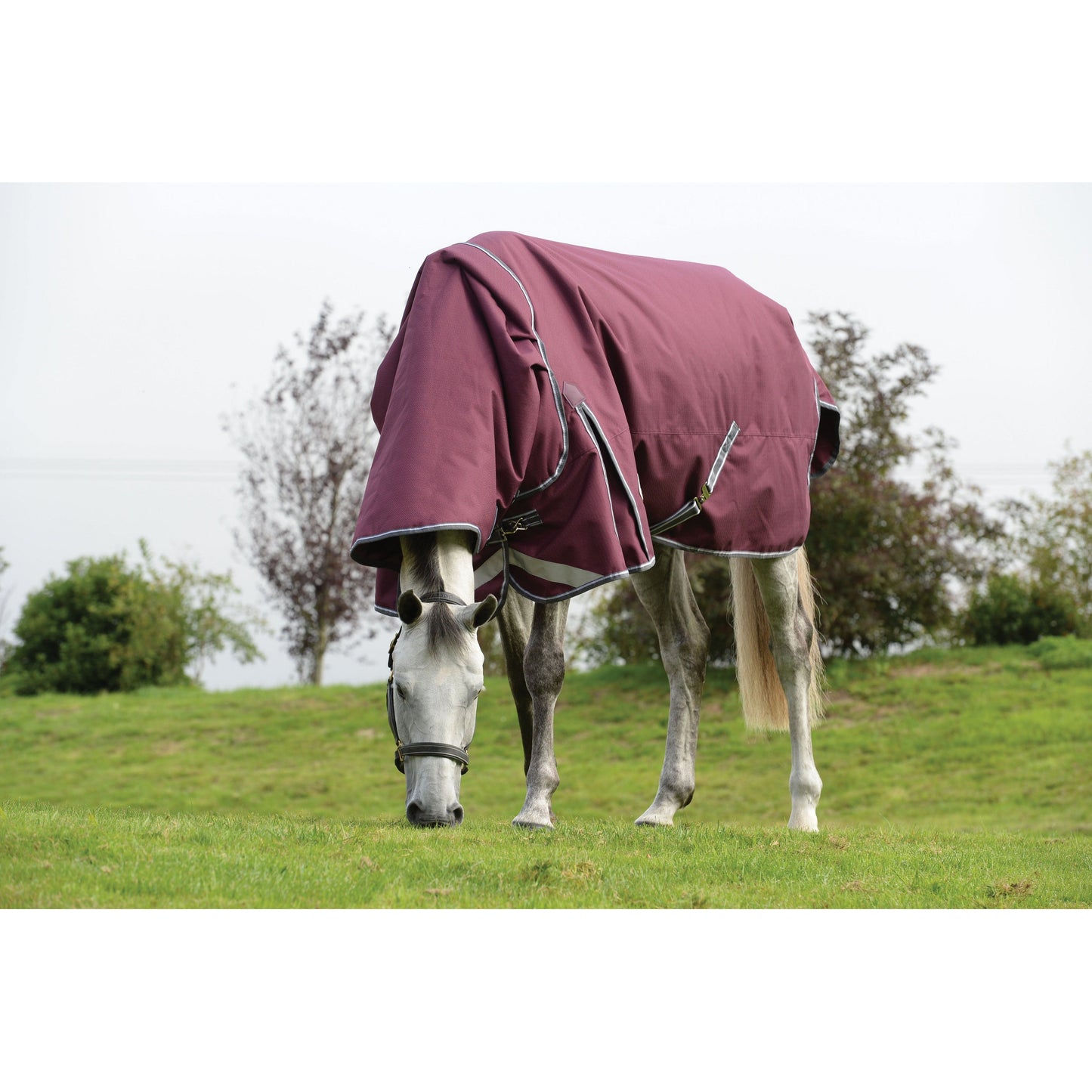 Comfitec Plus Dynamic II Detach-a-Neck Medium 220 gram