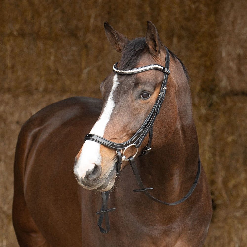 Bridle Anatomic Lacque