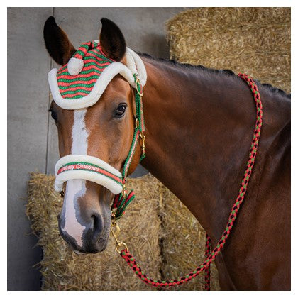 Julegrimesett med leietau og ørehette