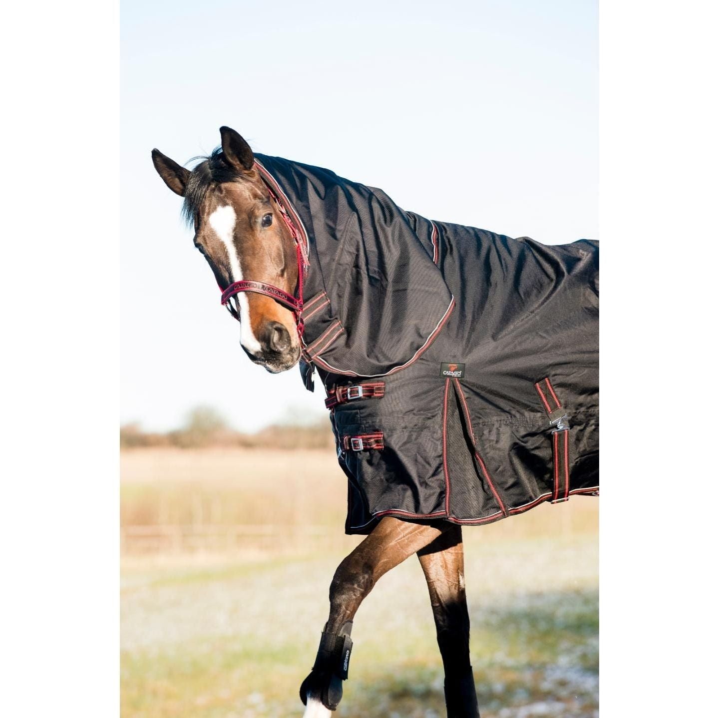 Catago Endurancedekken 300 gram