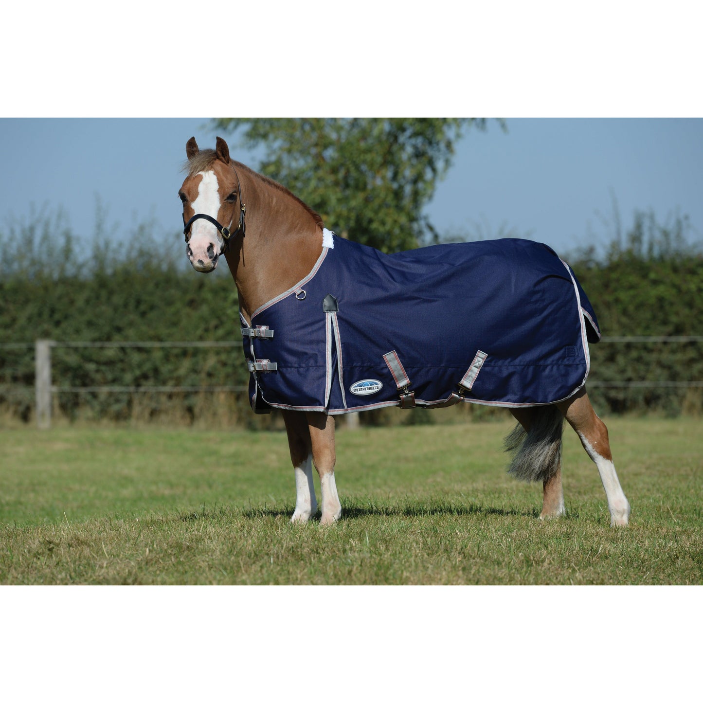 Comfitec Essential Standard Neck Medium 220 gram