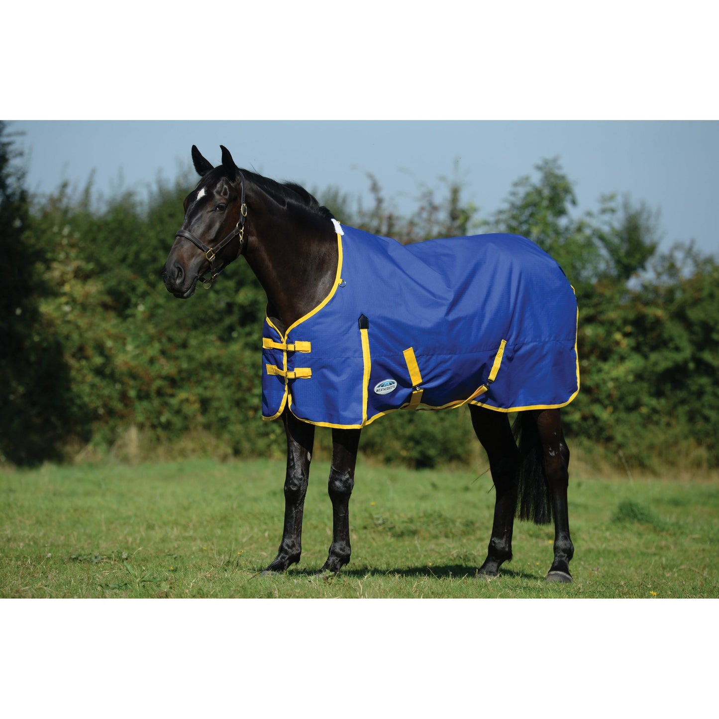 Comfitec Classic Standard Neck Lite 0 Gram
