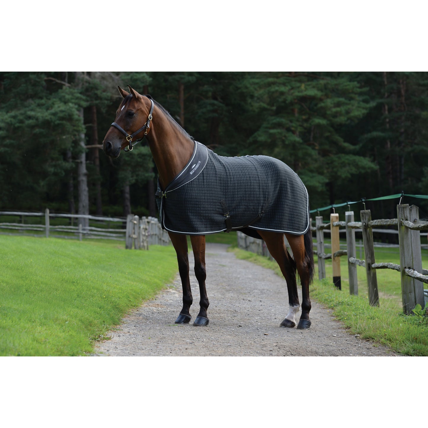 Weatherbeeta Thermocell Cooler Standard Neck