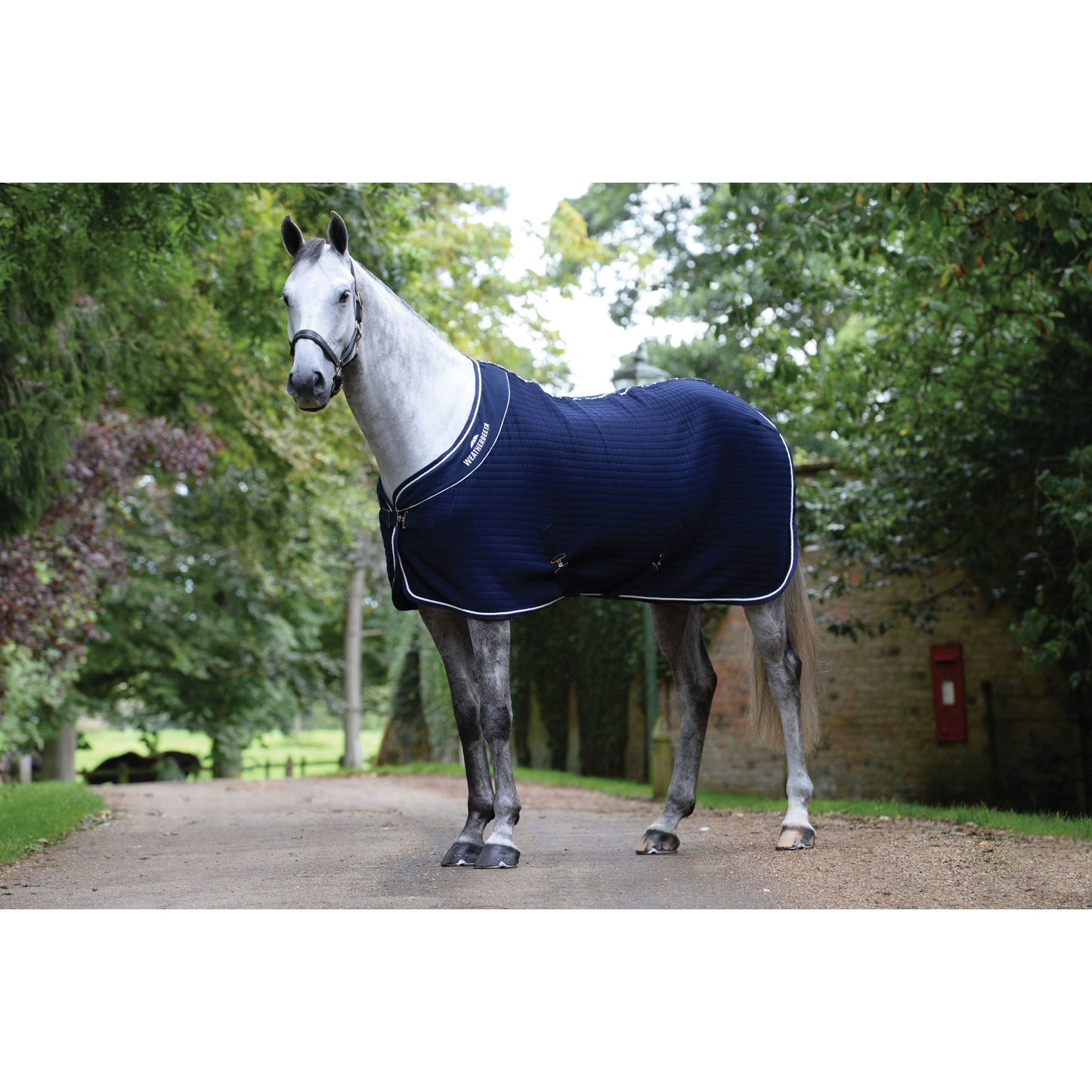 Weatherbeeta Thermocell Cooler Standard Neck
