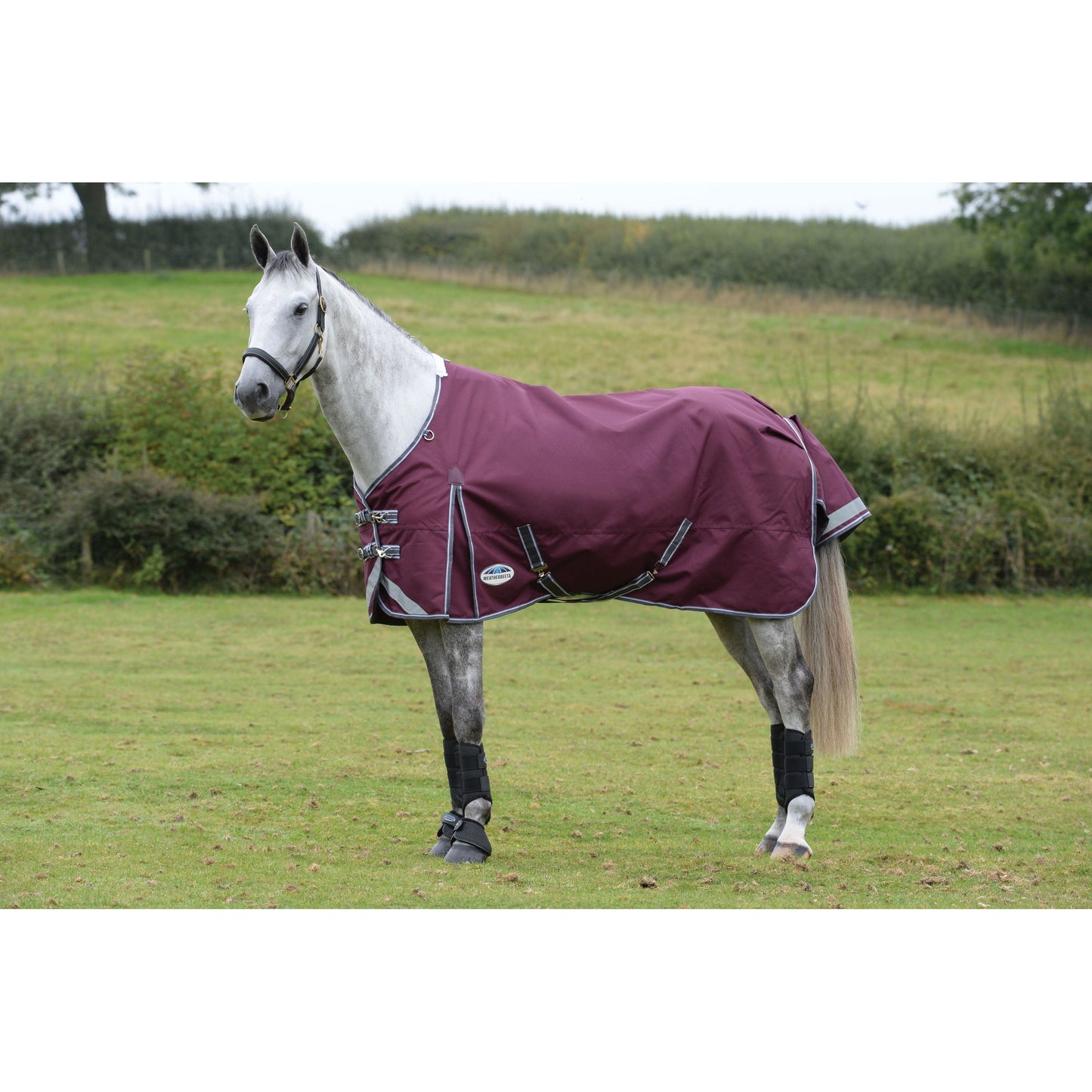 Comfitec Plus Dynamic II Standard Neck Lite 0 Gram