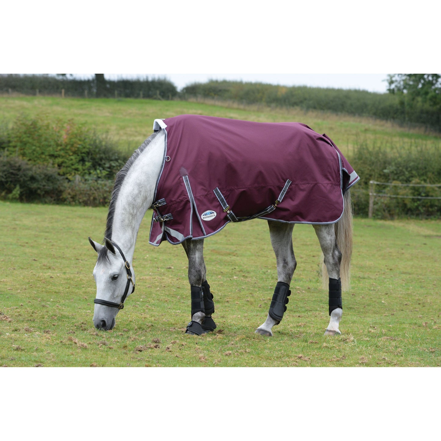 Comfitec Plus Dynamic II Standard Neck Medium/Lite 100 Gram